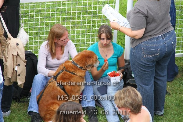 IMG 0585 600x400 prot