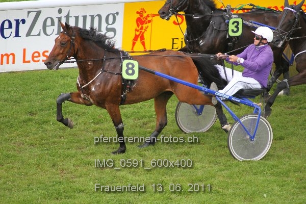 IMG 0591 600x400 prot