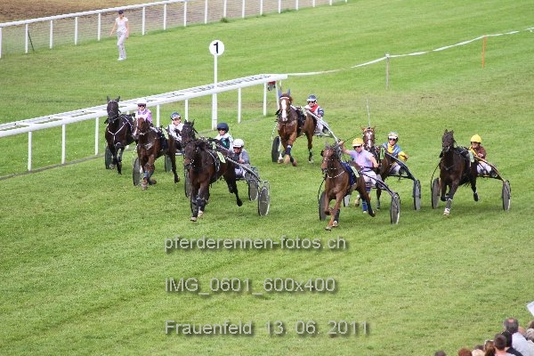 IMG 0601 600x400 prot