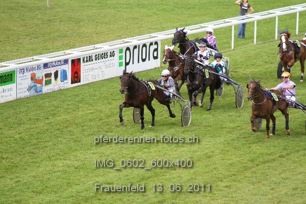 IMG 0602 600x400 prot
