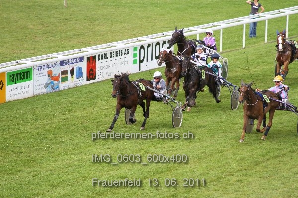 IMG 0603 600x400 prot
