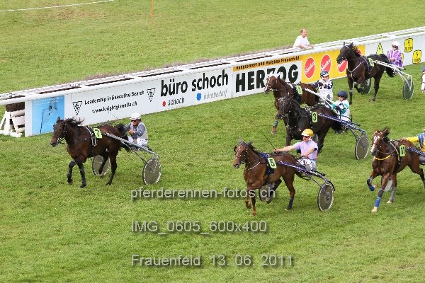 IMG 0605 600x400 prot