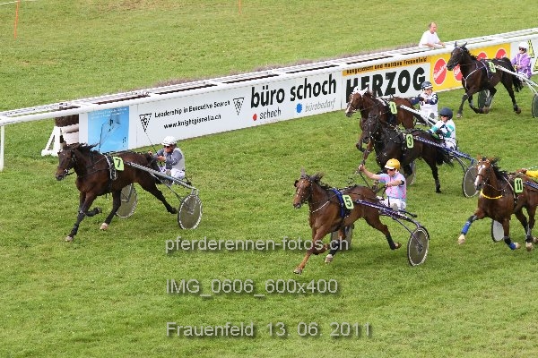 IMG 0606 600x400 prot