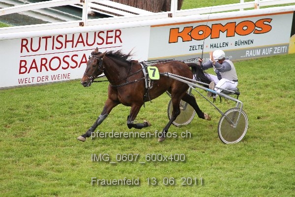 IMG 0607 600x400 prot