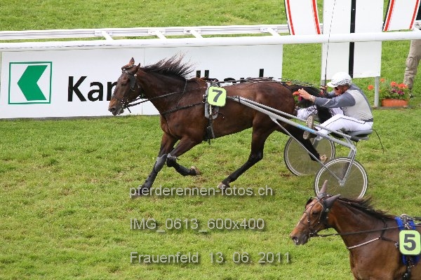 IMG 0613 600x400 prot