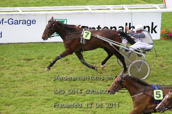 IMG 0614 600x400 prot