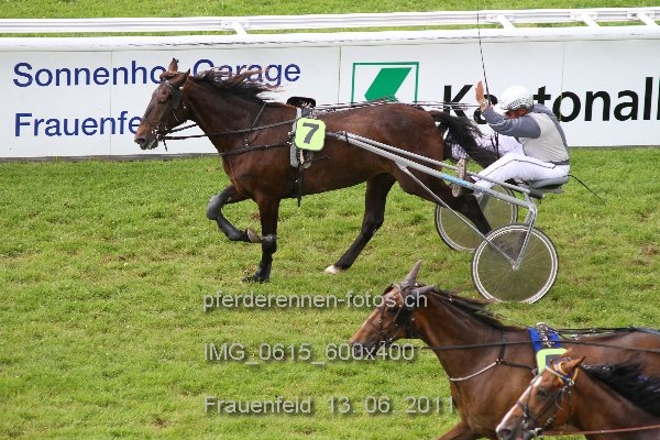 IMG 0615 600x400 prot