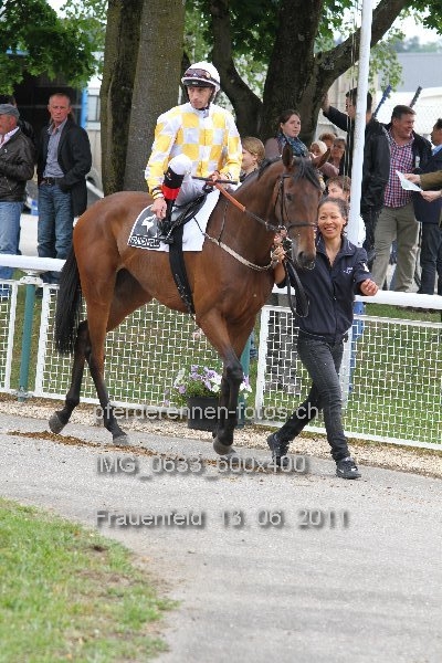 IMG 0633 600x400 prot
