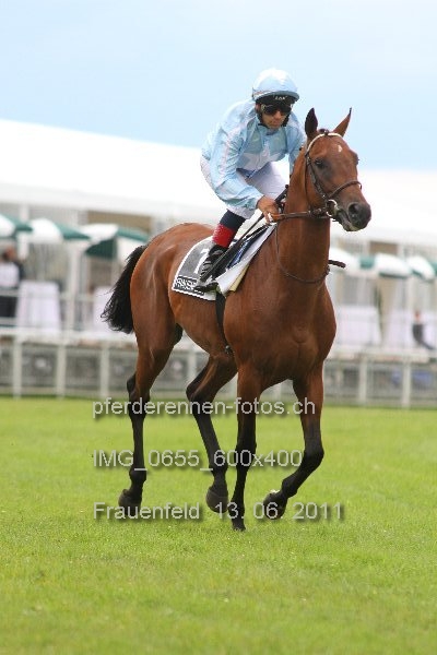 IMG 0655 600x400 prot