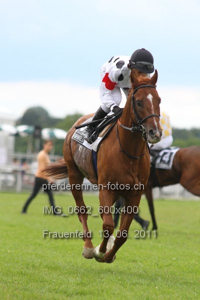 IMG 0662 600x400 prot