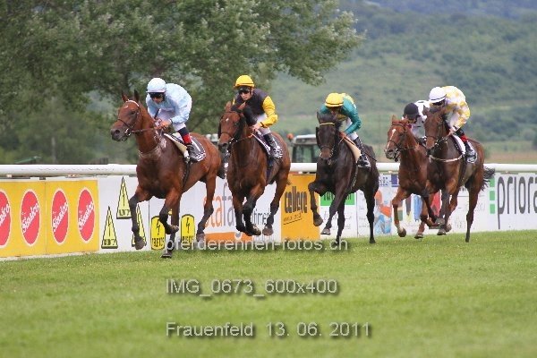 IMG 0673 600x400 prot