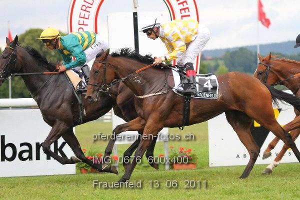 IMG 0676 600x400 prot