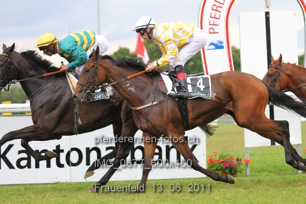 IMG 0677 600x400 prot