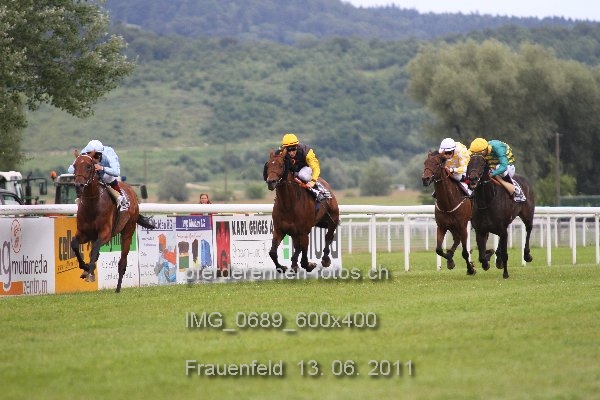 IMG 0689 600x400 prot
