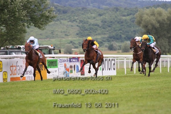 IMG 0690 600x400 prot