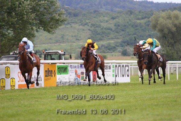 IMG 0691 600x400 prot