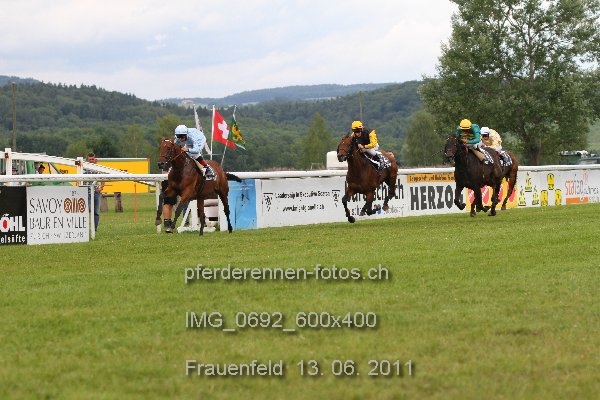 IMG 0692 600x400 prot