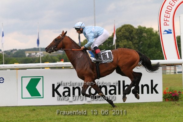 IMG 0701 600x400 prot