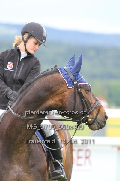 IMG 0706 600x400 prot