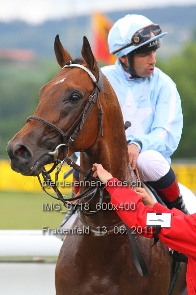 IMG 0718 600x400 prot