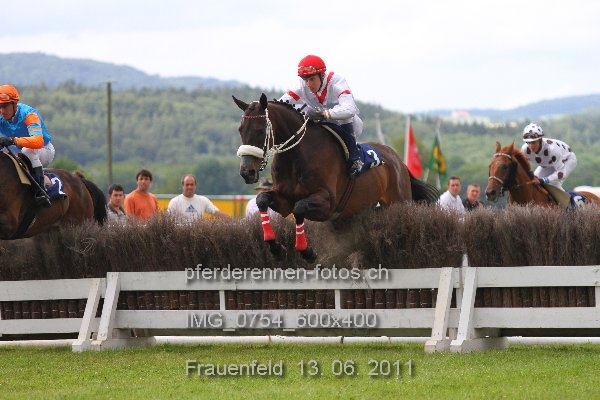 IMG 0754 600x400 prot