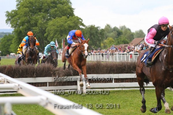 IMG 0770 600x400 prot