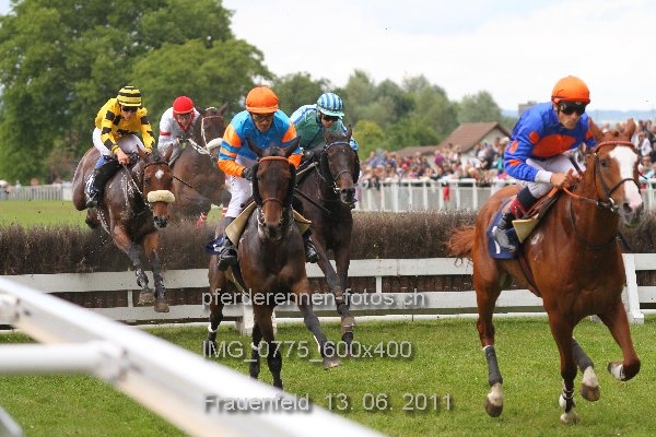 IMG 0775 600x400 prot