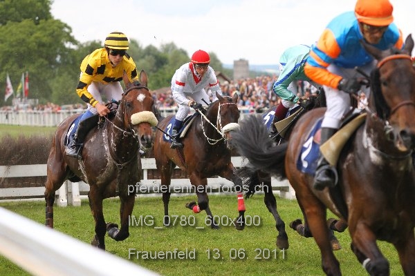 IMG 0780 600x400 prot