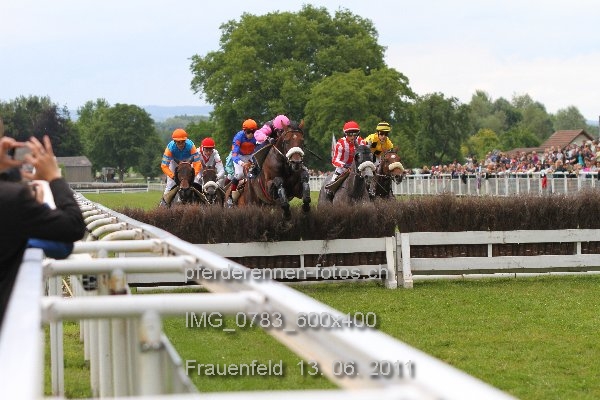 IMG 0783 600x400 prot