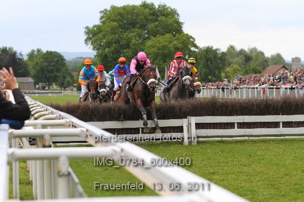 IMG 0784 600x400 prot