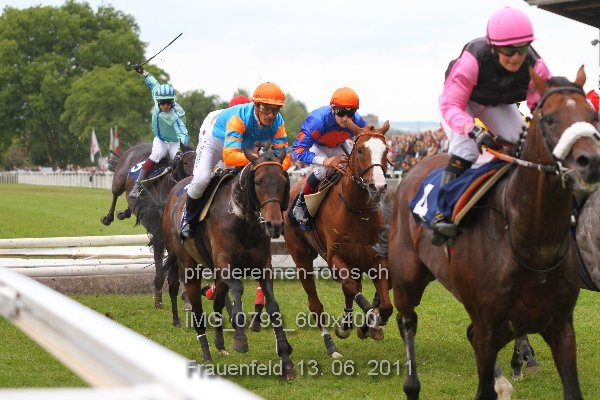 IMG 0793 600x400 prot