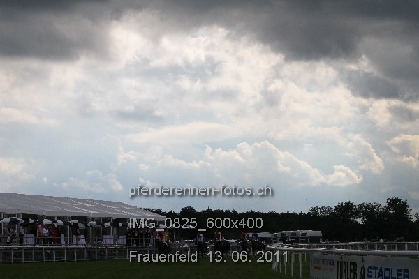 IMG 0825 600x400 prot