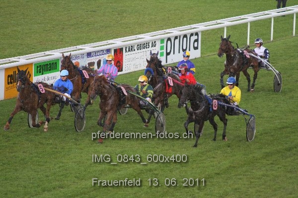 IMG 0843 600x400 prot