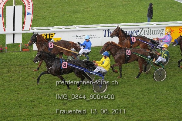 IMG 0844 600x400 prot