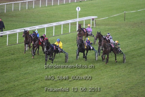 IMG 0846 600x400 prot