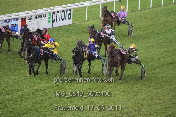 IMG 0849 600x400 prot