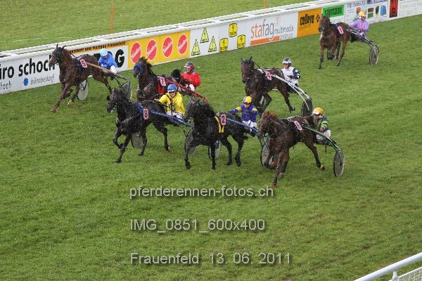 IMG 0851 600x400 prot