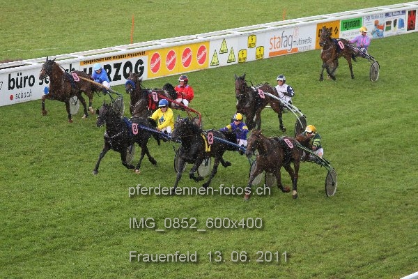 IMG 0852 600x400 prot