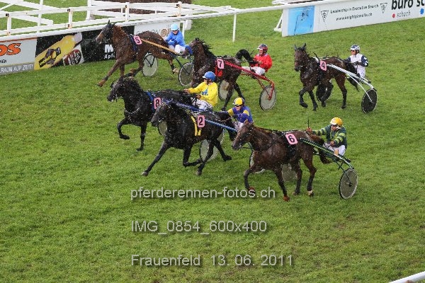 IMG 0854 600x400 prot