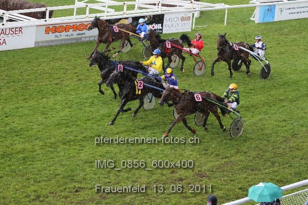 IMG 0856 600x400 prot