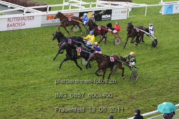 IMG 0857 600x400 prot