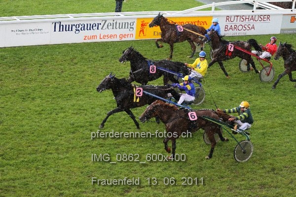 IMG 0862 600x400 prot