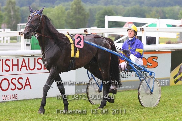 IMG 0872 600x400 prot