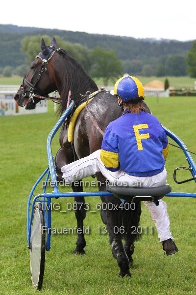 IMG 0873 600x400 prot