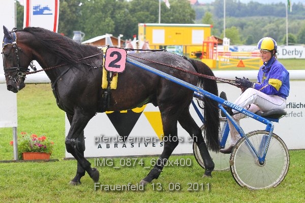 IMG 0874 600x400 prot