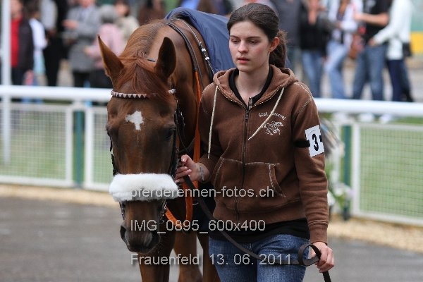 IMG 0895 600x400 prot