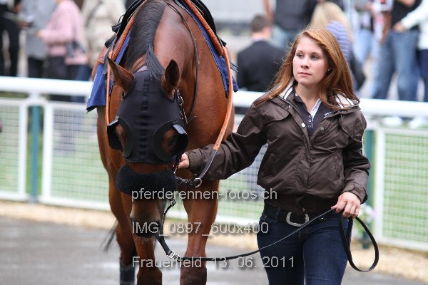 IMG 0897 600x400 prot