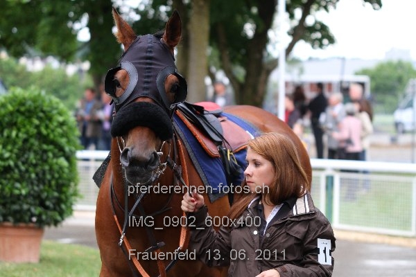 IMG 0902 600x400 prot