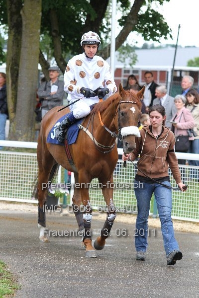 IMG 0909 600x400 prot