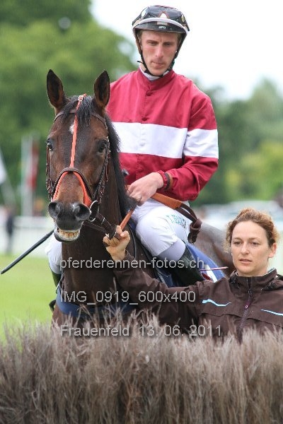 IMG 0919 600x400 prot